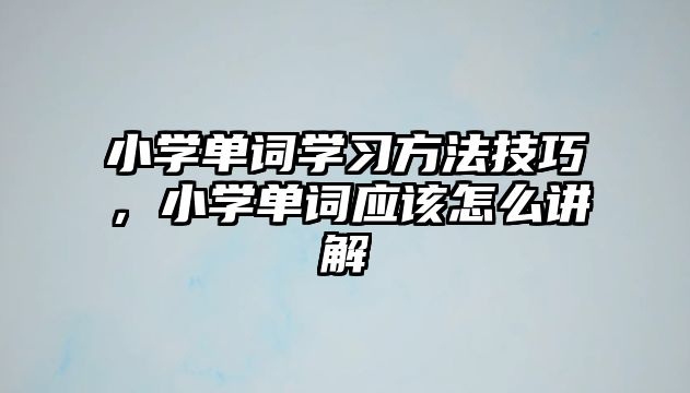 小學單詞學習方法技巧，小學單詞應該怎么講解