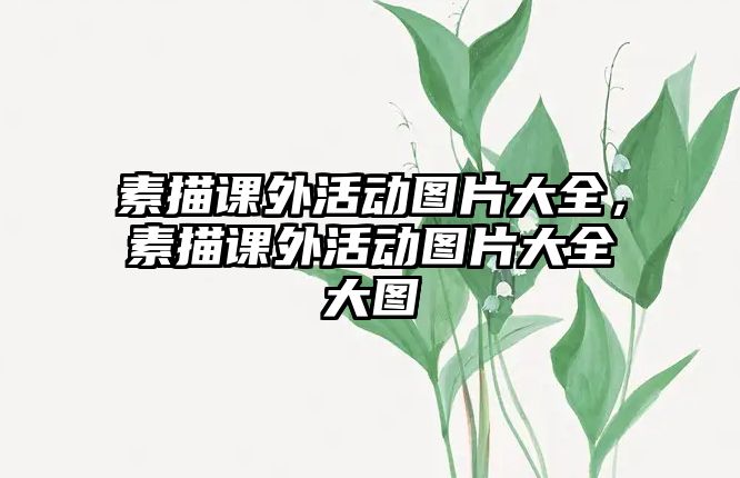 素描課外活動(dòng)圖片大全，素描課外活動(dòng)圖片大全大圖