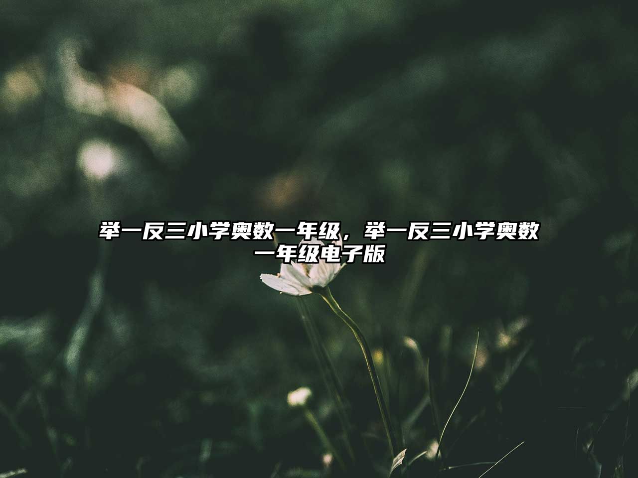 舉一反三小學(xué)奧數(shù)一年級(jí)，舉一反三小學(xué)奧數(shù)一年級(jí)電子版