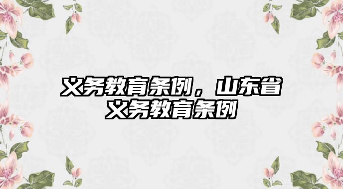 義務(wù)教育條例，山東省義務(wù)教育條例