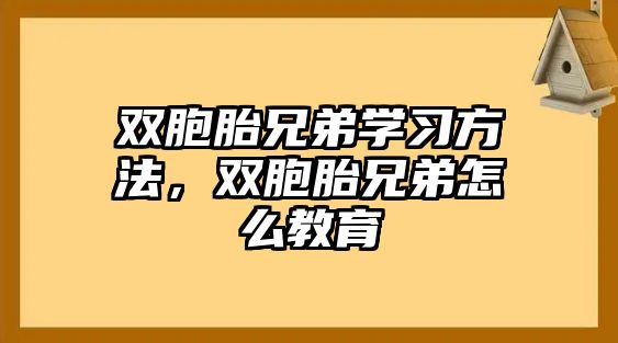 雙胞胎兄弟學(xué)習(xí)方法，雙胞胎兄弟怎么教育