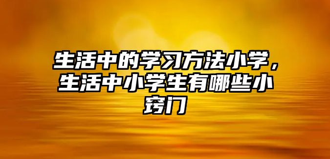 生活中的學(xué)習(xí)方法小學(xué)，生活中小學(xué)生有哪些小竅門