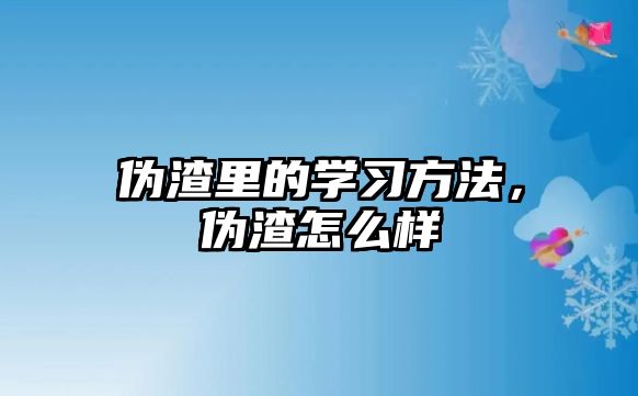 偽渣里的學(xué)習(xí)方法，偽渣怎么樣