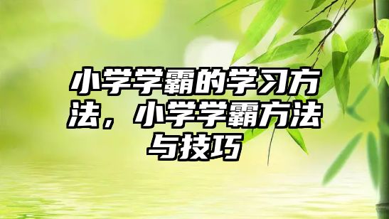 小學(xué)學(xué)霸的學(xué)習(xí)方法，小學(xué)學(xué)霸方法與技巧