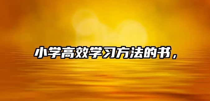 小學(xué)高效學(xué)習(xí)方法的書，