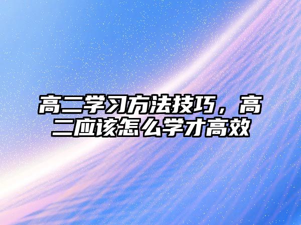 高二學(xué)習(xí)方法技巧，高二應(yīng)該怎么學(xué)才高效