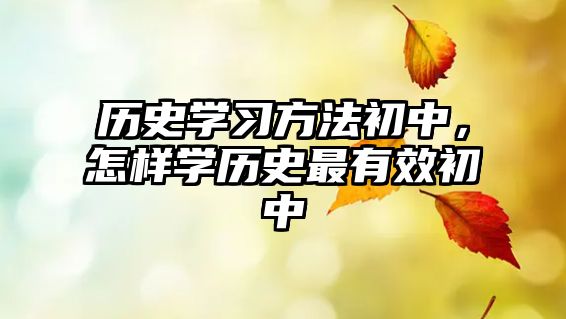 歷史學(xué)習(xí)方法初中，怎樣學(xué)歷史最有效初中